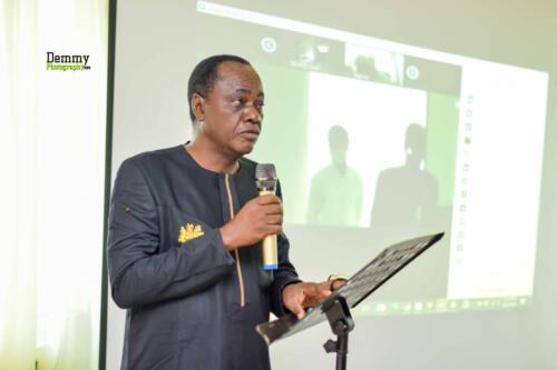 Prof Debo Ajayi - Citation